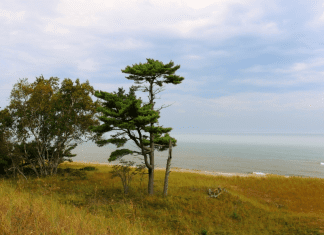 Go, See, Explore: Kohler Andrae State Park in Sheboygan, WI