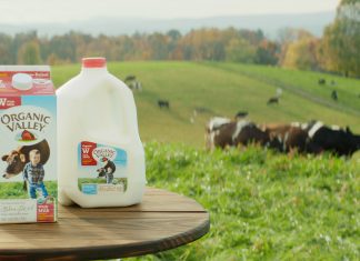 Why We Love Organic Valley Milk | Plus a Chocolate Shake Recipe