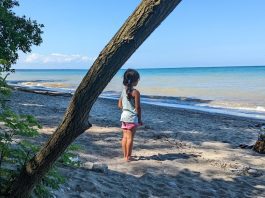 Last Days of Summer