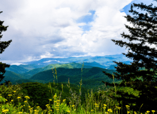 FAMILY ROAD TRIP: BLUE RIDGE MOUNTAINS
