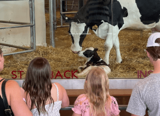 SUMMER EVENTS & SUMMER CAMP AT FARM WISCONSIN DISCOVERY CENTER