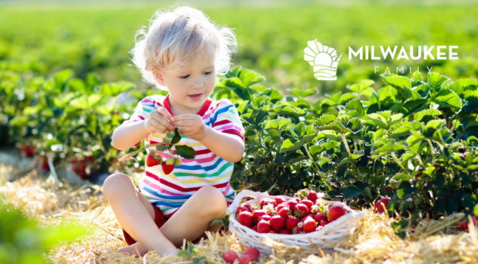 BERRY PICKING SEASON | WHERE YOU CAN PICK YOUR OWN