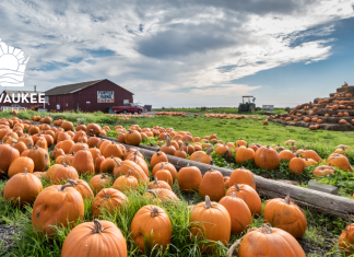 GUIDE TO THE BEST OF FALL FUN IN THE MILWAUKEE, WI AREA