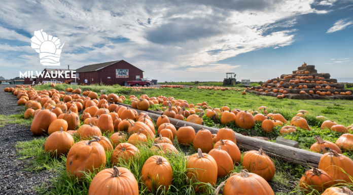 GUIDE TO THE BEST OF FALL FUN IN THE MILWAUKEE, WI AREA