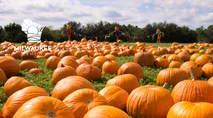 11 BEST PUMPKIN FARMS TO VISIT IN THE MILWAUKEE AREA