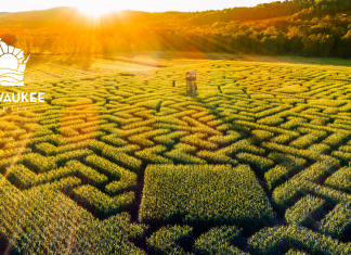 11 MILWAUKEE AREA CORN MAZES TO EXPLORE