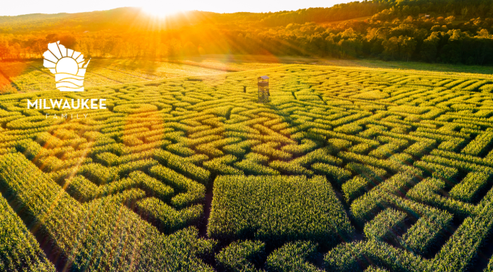 11 MILWAUKEE AREA CORN MAZES TO EXPLORE