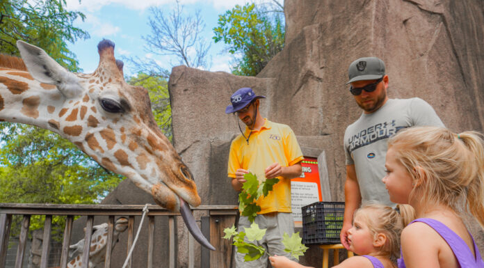 A GIFT THAT LASTS ALL YEAR | ZOO PASS & HOW IT WORKS