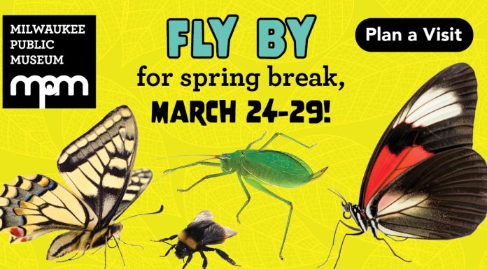 EXPERIENCE A SPRING BREAK ADVENTURE AT MILWAUKEE PUBLIC MUSEUM