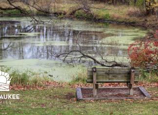 3 FAMILY-FRIENDLY SPRING HIKES NEAR MILWAUKEE