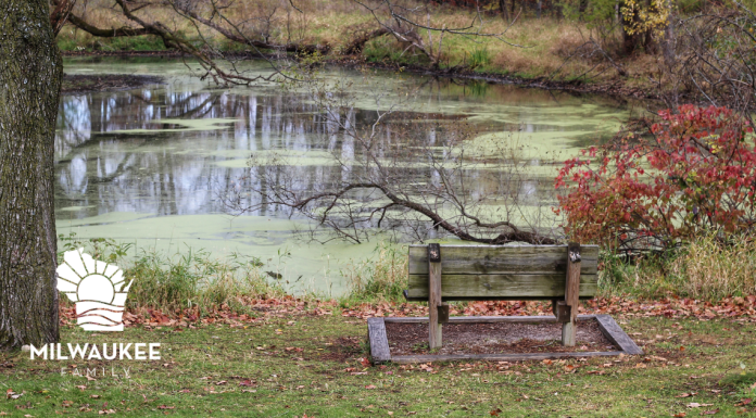 3 FAMILY-FRIENDLY SPRING HIKES NEAR MILWAUKEE