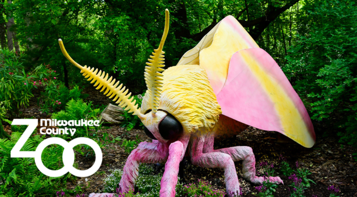 POWERFUL POLLINATORS ARRIVES AT THE MILWAUKEE COUNTY ZOO THIS SUMMER